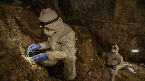 Участники исследования отбирают образцы пещерных отложений на ДНК
