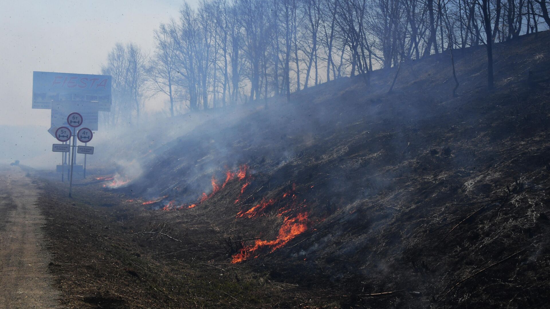 Пал сухой травы в Приморье - РИА Новости, 1920, 03.03.2025