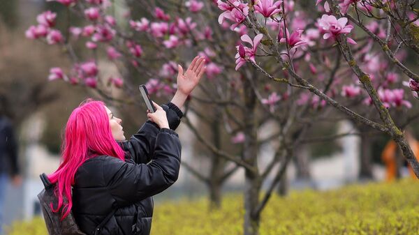 Девушка фотографирует цветение магнолии в парке Краснодар