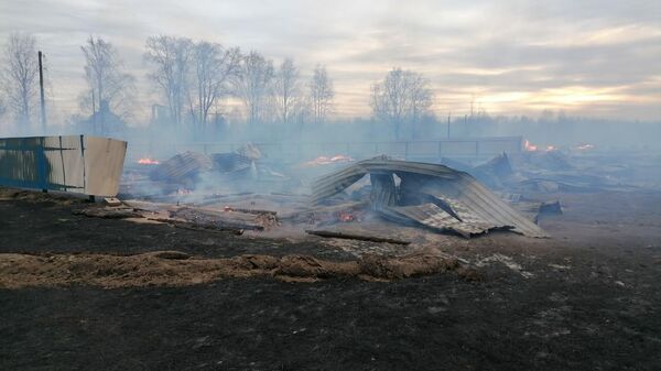 Тушение пожара в Красноборском районе в Архангельской области 