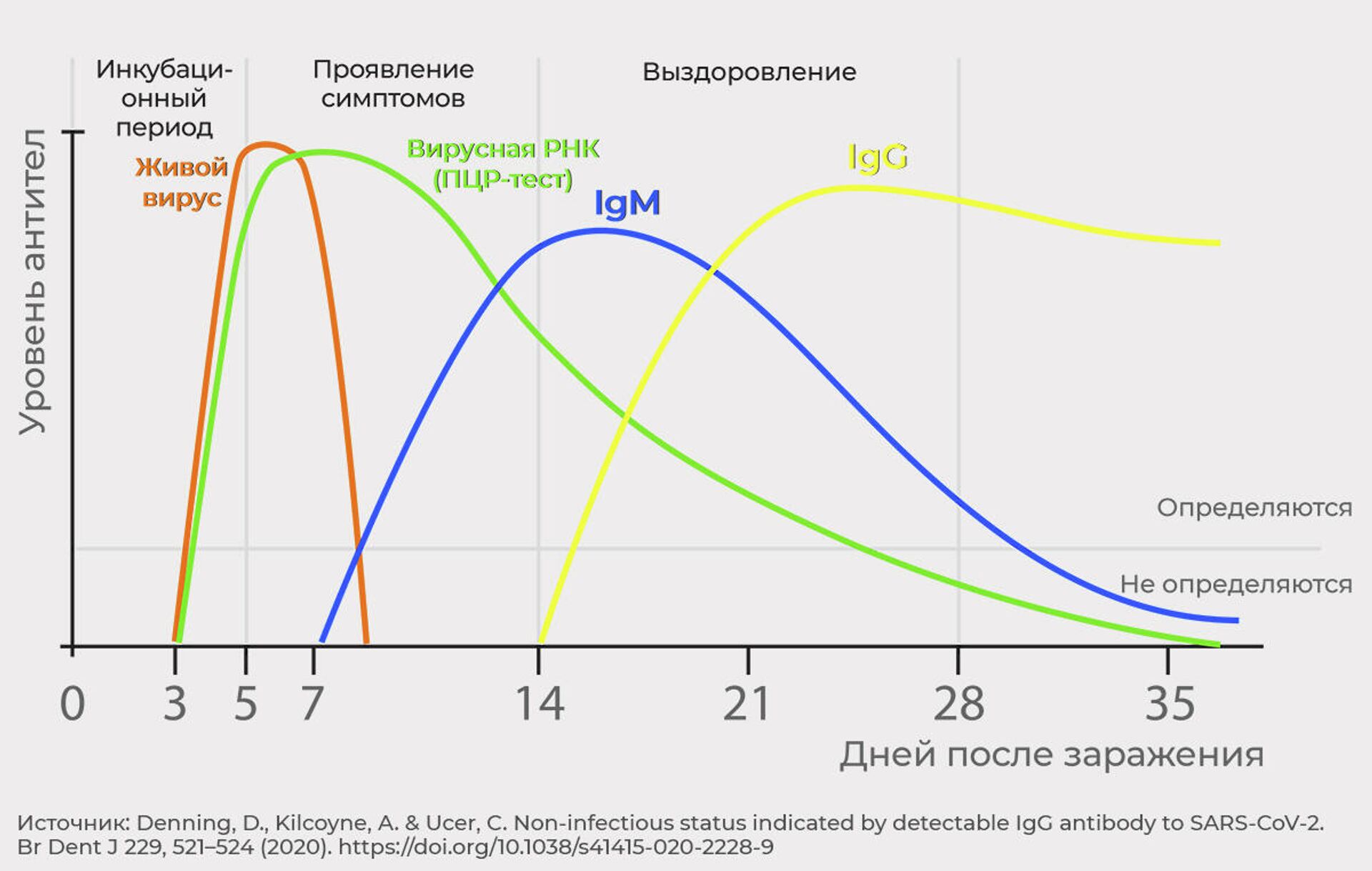 График скорости исчезновения разных антител - РИА Новости, 1920, 22.04.2021