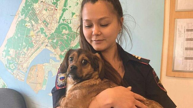 Полицейские в Балтийске Калининградской области спасли щенков, выброшенных в мусорный контейнер