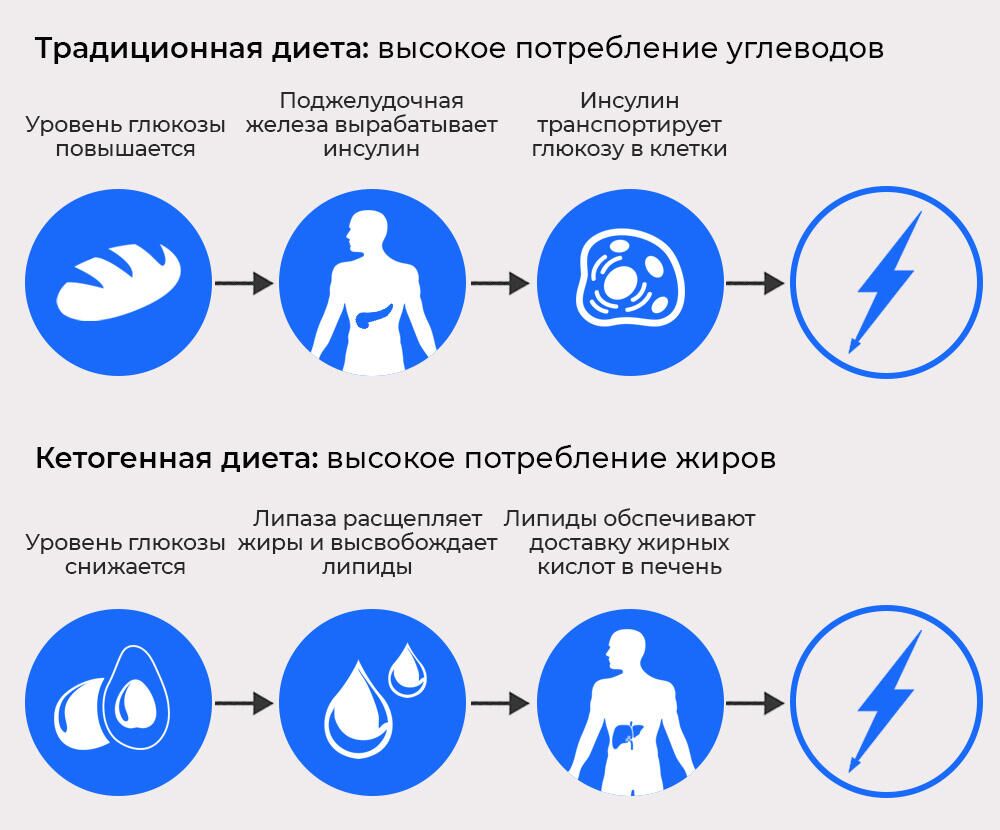 Как работает кето диета - РИА Новости, 1920, 23.04.2021