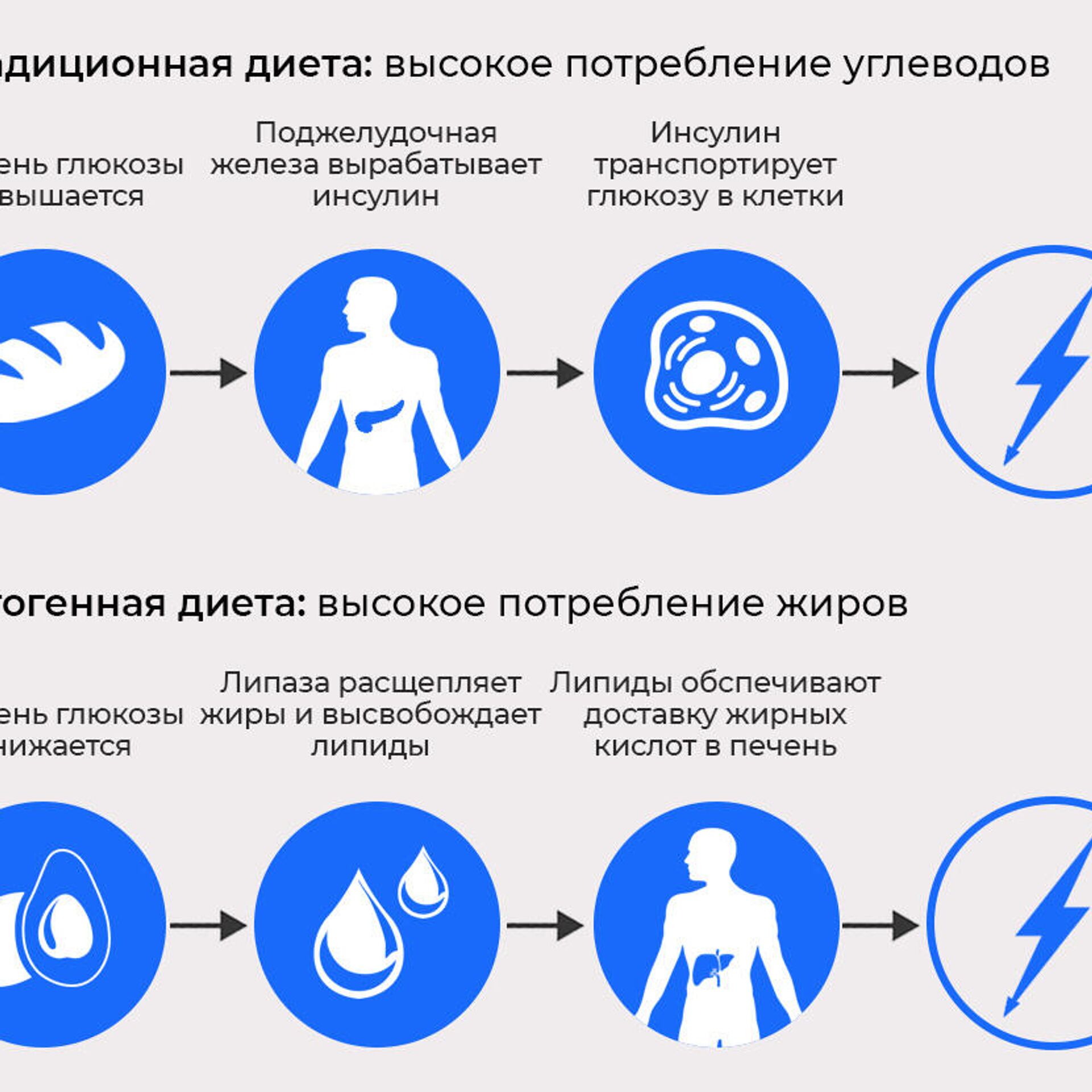 Остановить время. Ученые назвали простые способы замедлить старение - РИА  Новости, 26.04.2021