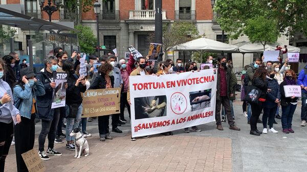 Акция протеста в Мадриде против использования животных в лабораторных исследованиях 