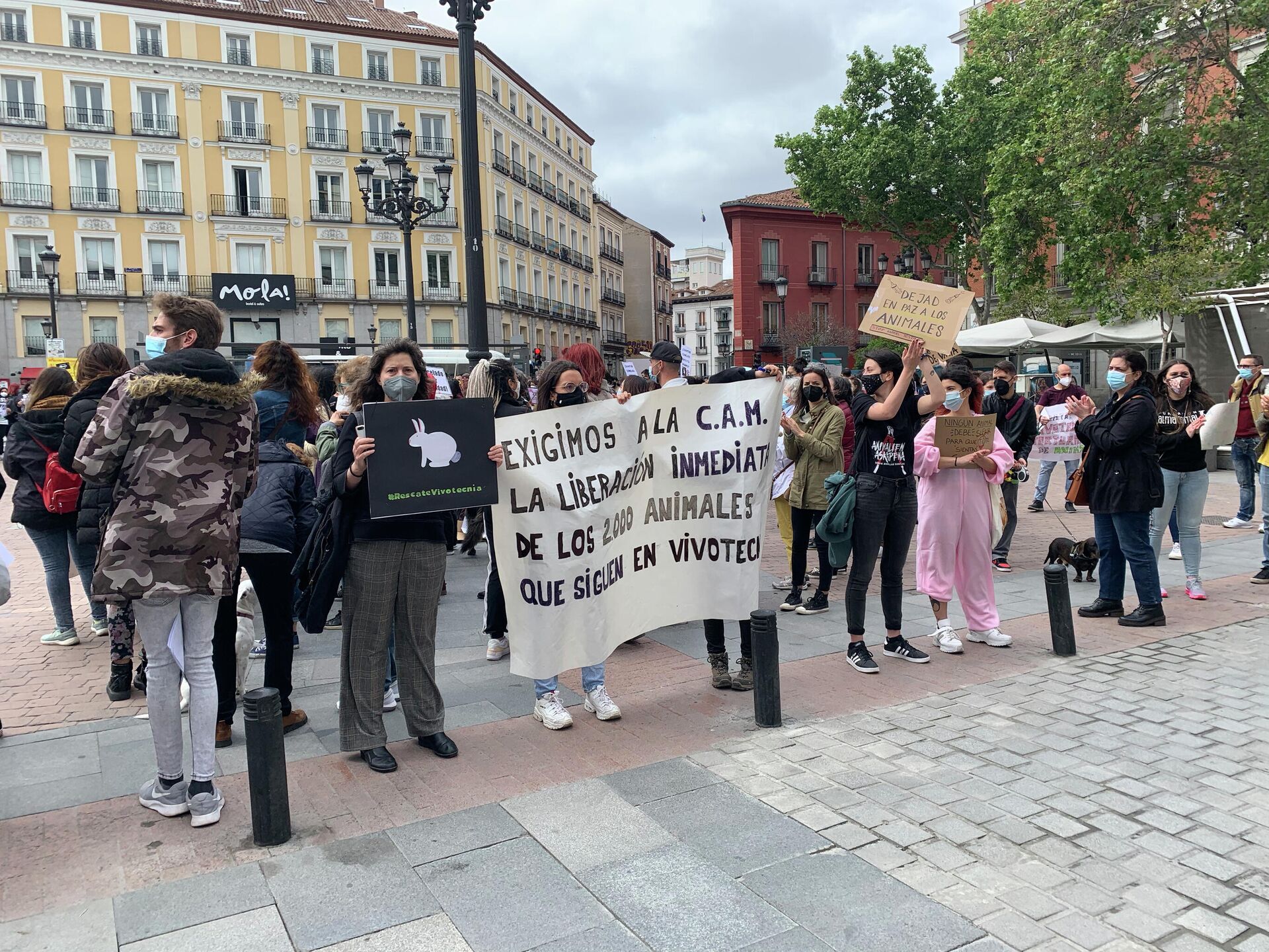 Акция протеста в Мадриде против использования животных в лабораторных исследованиях  - РИА Новости, 1920, 24.04.2021