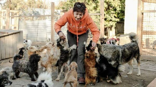 700 спасенных жизней: зоозащитница спасла собак и организовала приют
