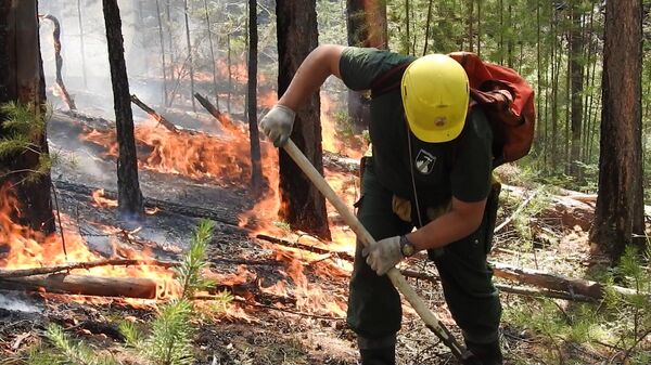 Борьба с лесным пожаром