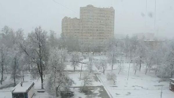 Кадры снегопада в Москве и Подмосковье