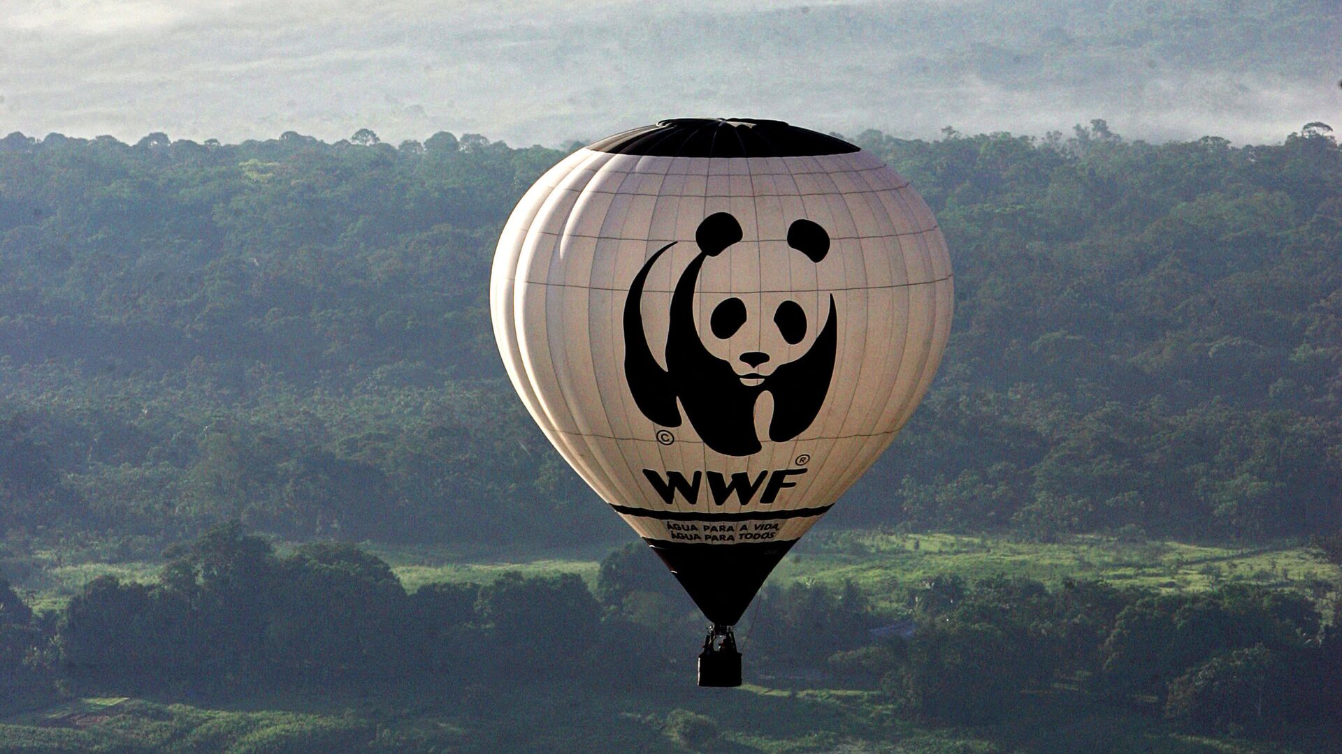 Воздушный шар Всемирного фонда дикой природы пролетает над рекой Амазонас  - РИА Новости, 1920, 29.04.2021