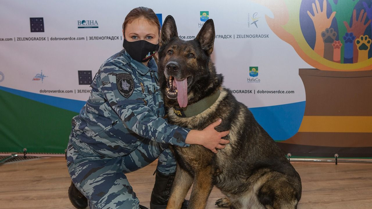 Лейтенант полиции Мария Копцева и служебный пес Волк-Меркурий - РИА Новости, 1920, 28.04.2021