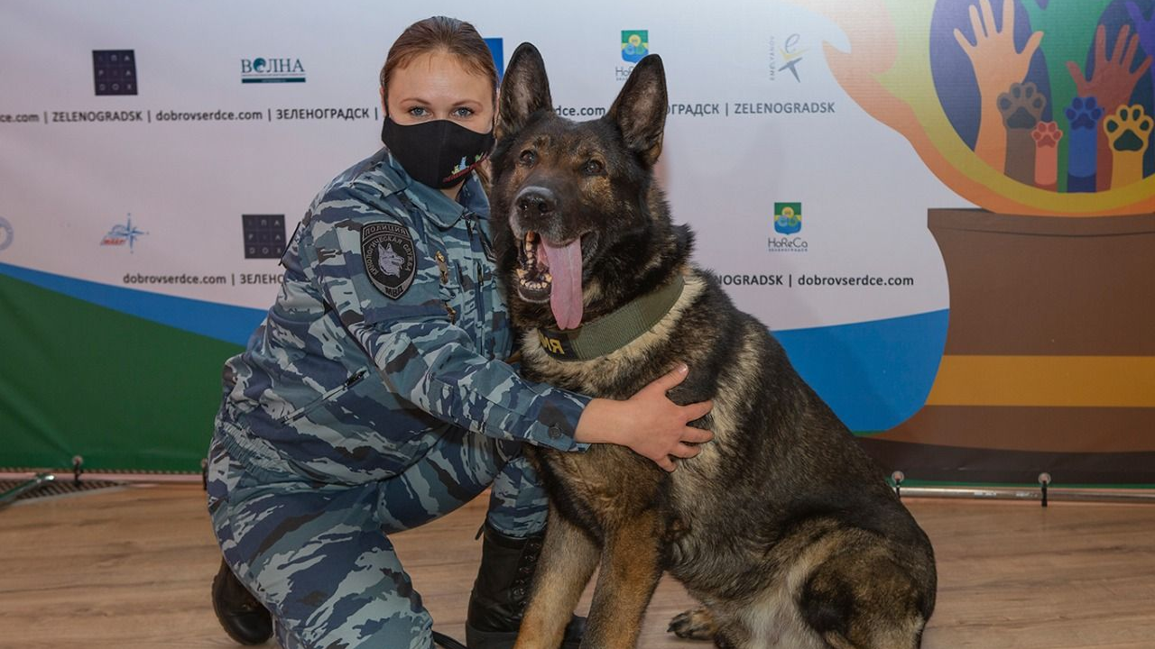 Лейтенант полиции Мария Копцева и служебный пес Волк-Меркурий - РИА Новости, 1920, 28.04.2021