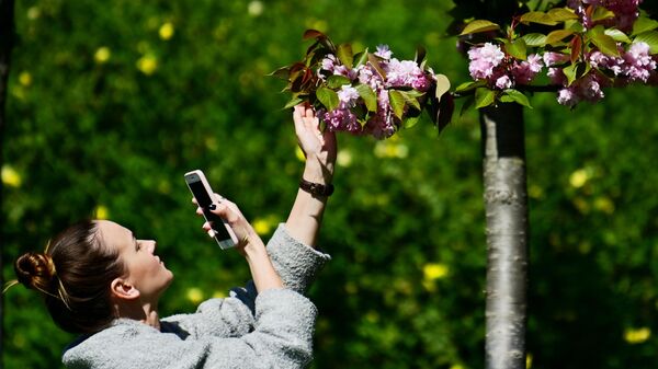 Девушка фотографирует цветы черешни на аллее Черешневый сад в Сочи