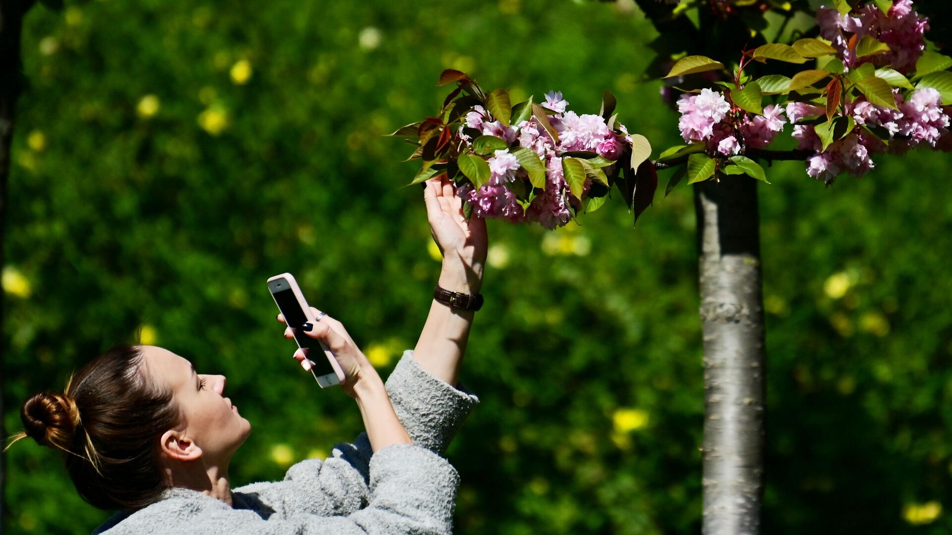 Девушка фотографирует цветы черешни на аллее Черешневый сад в Сочи - РИА Новости, 1920, 01.06.2022