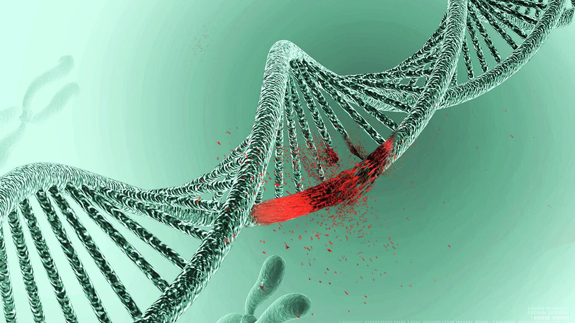 Реферат: Новейшие генные структуры и их анализ