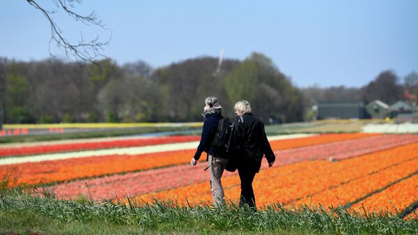 Люди проходят мимо цветочного поля в Лиссе, Нидерланды