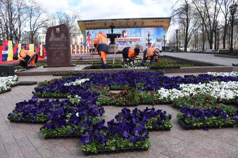 Высадка цветов в Москве