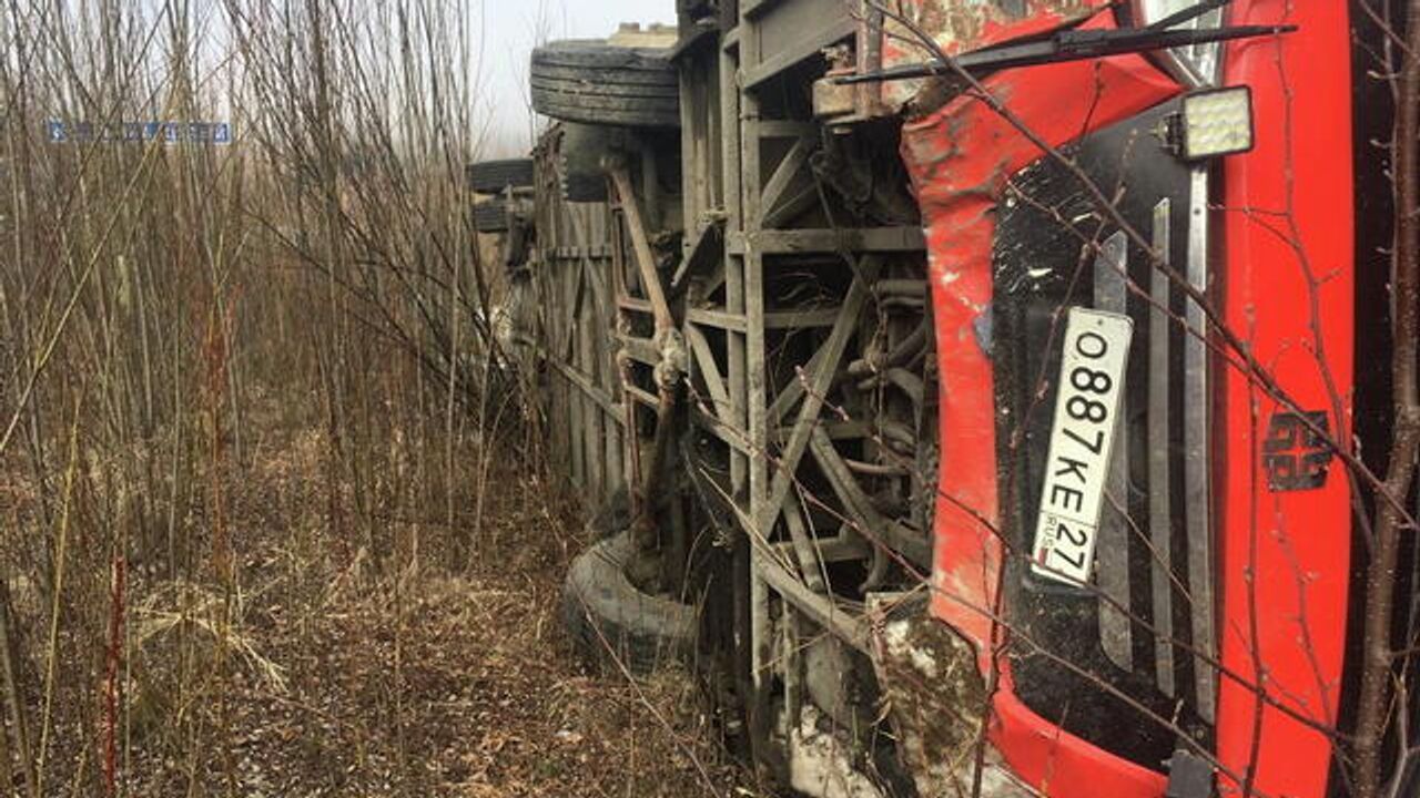 Число пострадавших в ДТП с автобусом под Хабаровском возросло до 17 - РИА  Новости, 01.05.2021