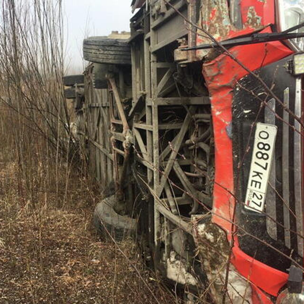 Число пострадавших в ДТП с автобусом под Хабаровском возросло до 17 - РИА  Новости, 01.05.2021