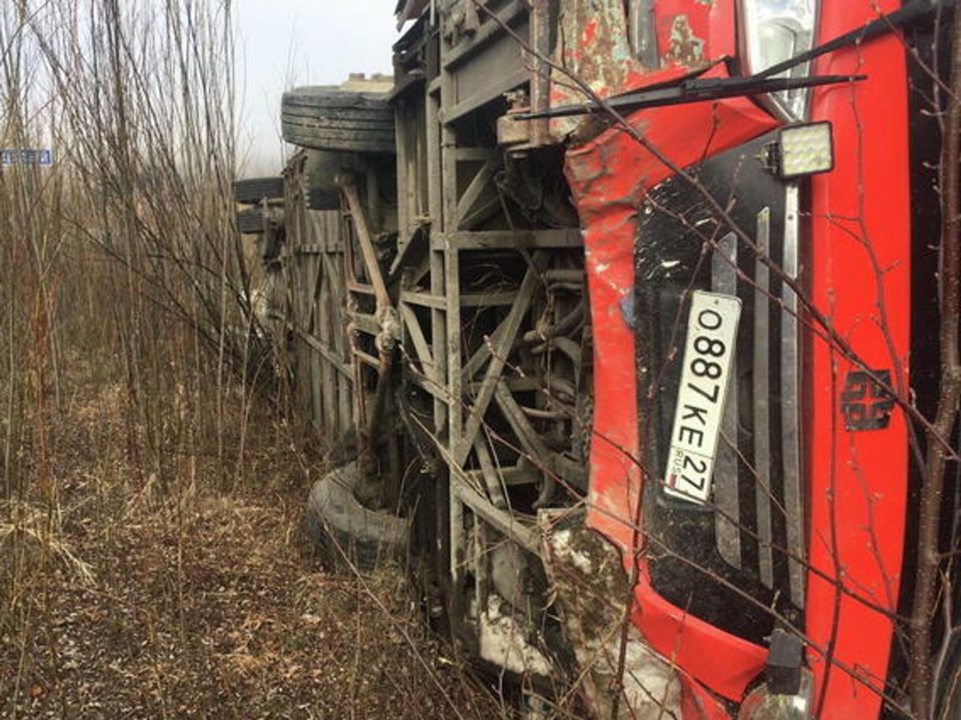 Число пострадавших в ДТП с автобусом под Хабаровском возросло до 17 - РИА  Новости, 01.05.2021