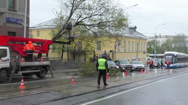 Аварийные службы устраняют последствия упавшего дерева на проезжую часть на Яузском бульваре