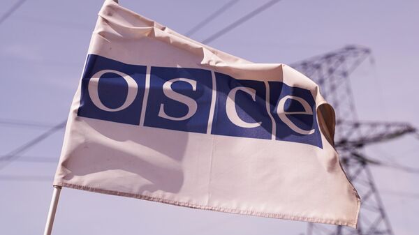 Флаг ОБСЕ у поселка Золотое Луганской Народной Республики. Архивное фото