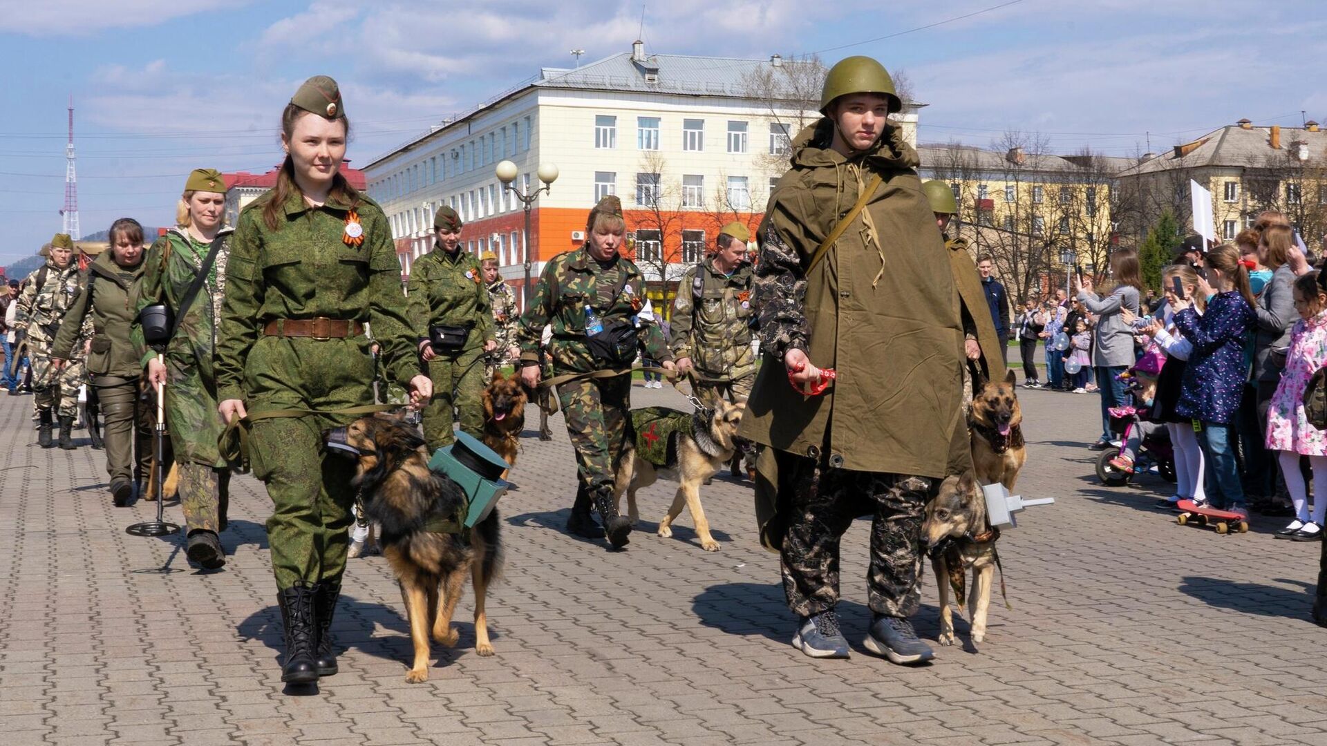 Полк собак прошагал торжественным маршем в День Победы в кузбасском Междуреченске - РИА Новости, 1920, 09.05.2021