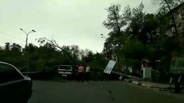 Последствия урагана в Нижегородской области