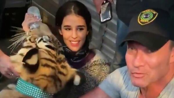 Полиция американского Хьюстона нашла тигра, который бродил по жилому району 