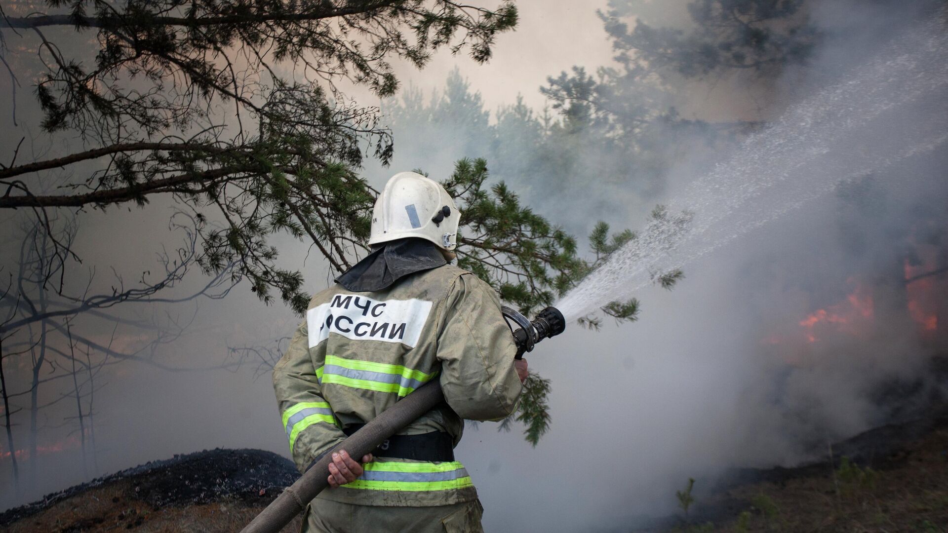 Сотрудник противопожарной службы МЧС РФ тушит лесной пожар в Тюменской области - РИА Новости, 1920, 19.07.2021