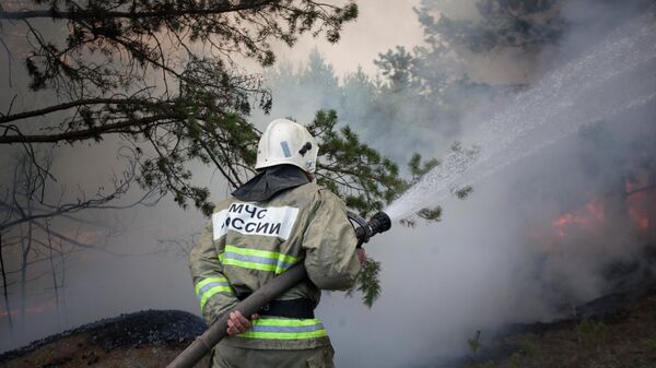 Сотрудник противопожарной службы МЧС тушит лесной пожар