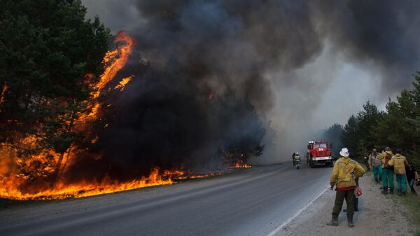 Сотрудники противопожарной службы МЧС РФ тушат лесной пожар в Тюменской области
