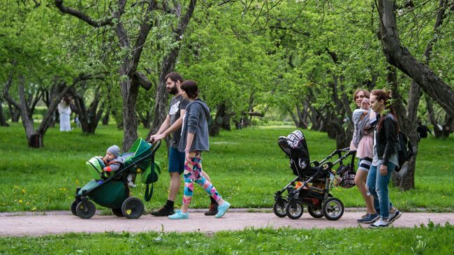 Горожане отдыхают в яблоневом саду в московском музее-заповеднике Коломенское