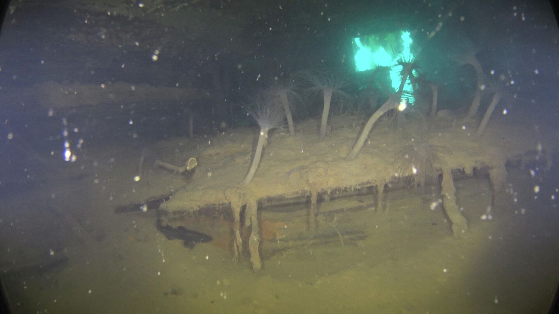 Затонувший корабль HMS Terror, входивший в экспедицию британского полярника Джона Франклина в бухте Нунавут - РИА Новости, 1920, 19.05.2021