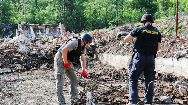Сотрудники чешских правоохранительных органов на месте взрыва на военном складе в Врбетице