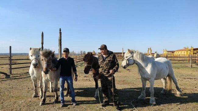 Коневоды из Полюса Холода намерены преодолеть маршрут Якутск-Москва