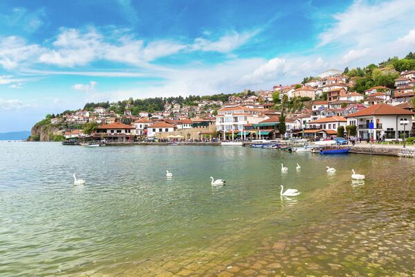 Лебеди на озере Охрид в Македонии 
