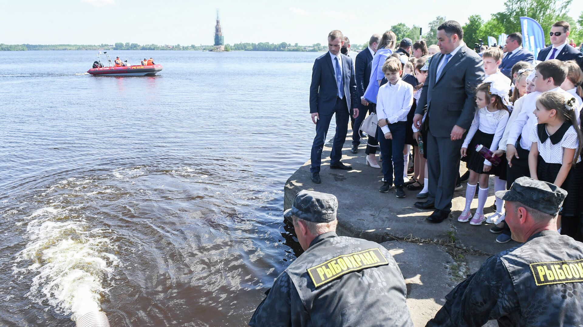 Губернатор Игорь Руденя во время акции по запуску мальков стерляди в городе Калязине Тверской области - РИА Новости, 1920, 20.05.2021