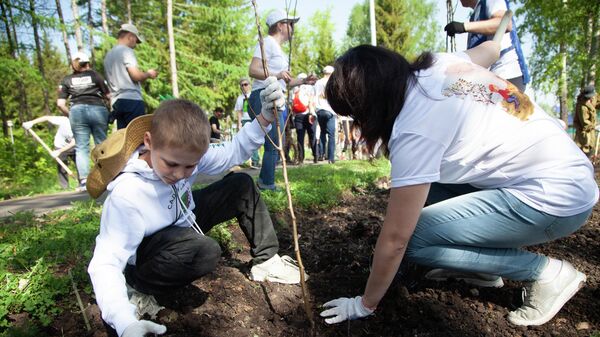 Сад памяти: Уже 25 миллионов деревьев, тысячи корпоративных волонтеров