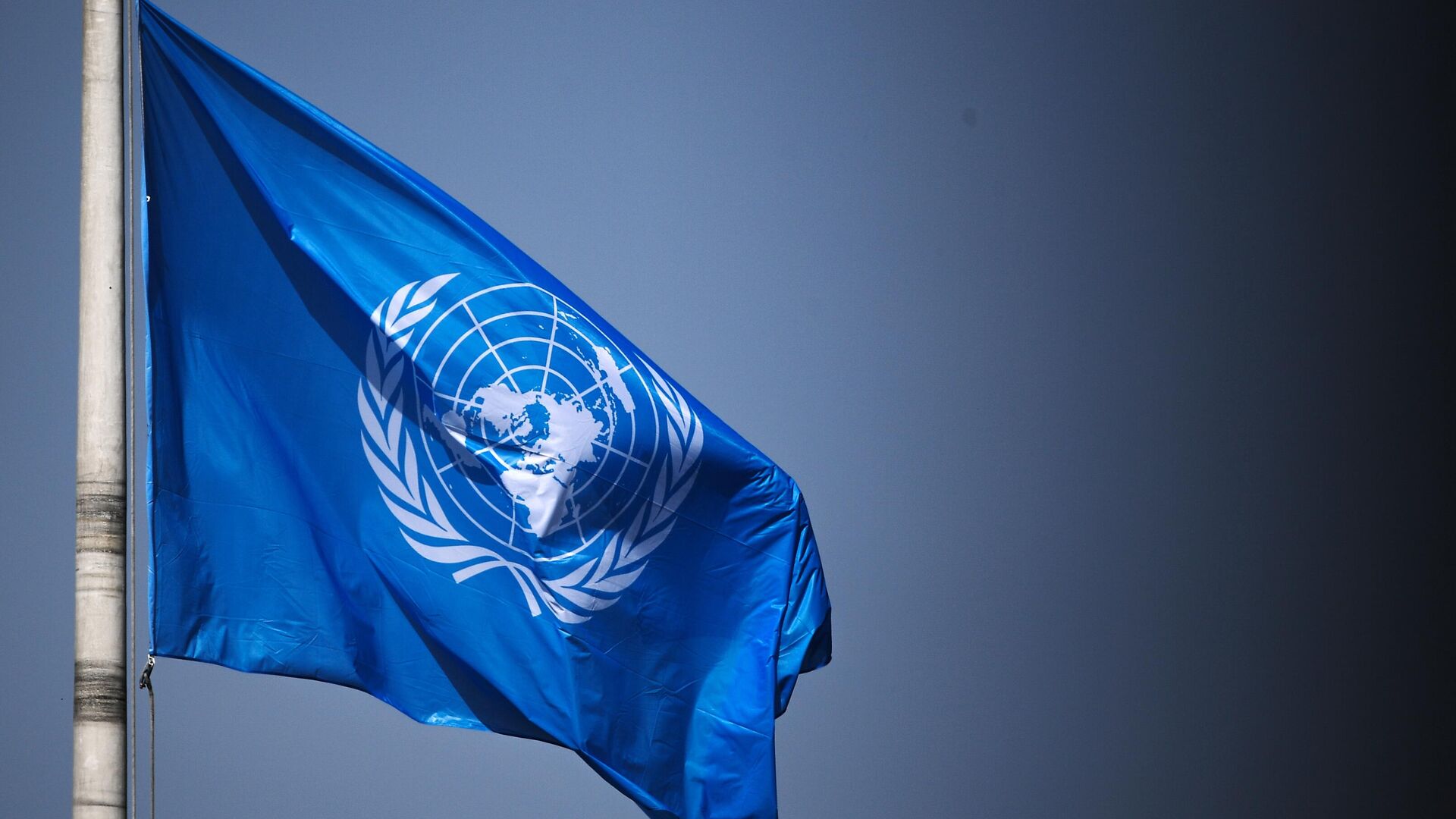 Флаг ООН на территории Дворца мира в Гааге - РИА Новости, 1920, 05.07.2021