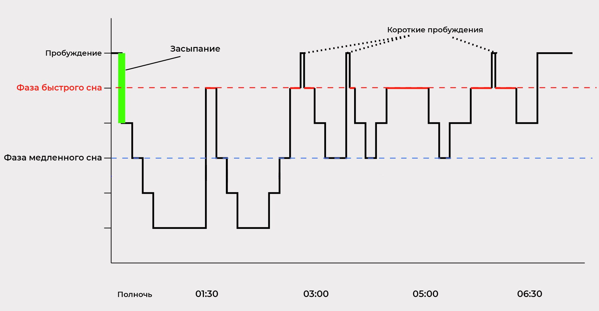 Пример гипнограммы (электроэнцефалограммы сна) человека, показывающей циклы сна от полуночи до 6:30 утра. Красный пунктир - фаза быстрого сна; синий пунктир - фаза глубокого (медленного) сна - РИА Новости, 1920, 25.05.2021