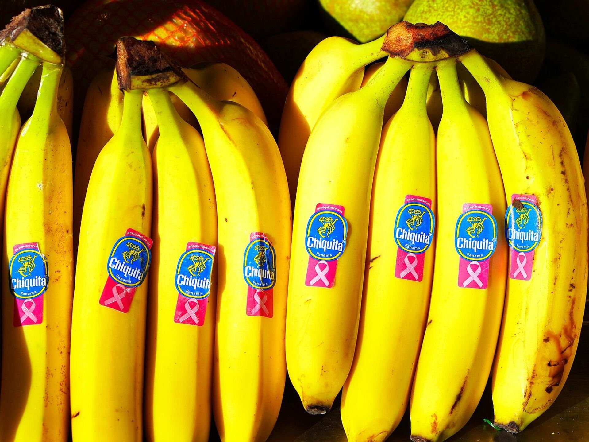 Какие бананы полезнее зеленые или. Куча бананов. Кубинские сорта бананов. Сорта бананов Робуста. 9 Бананов.
