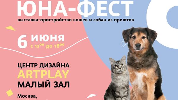 Афиша выставки кошек и собак Юна-Фест