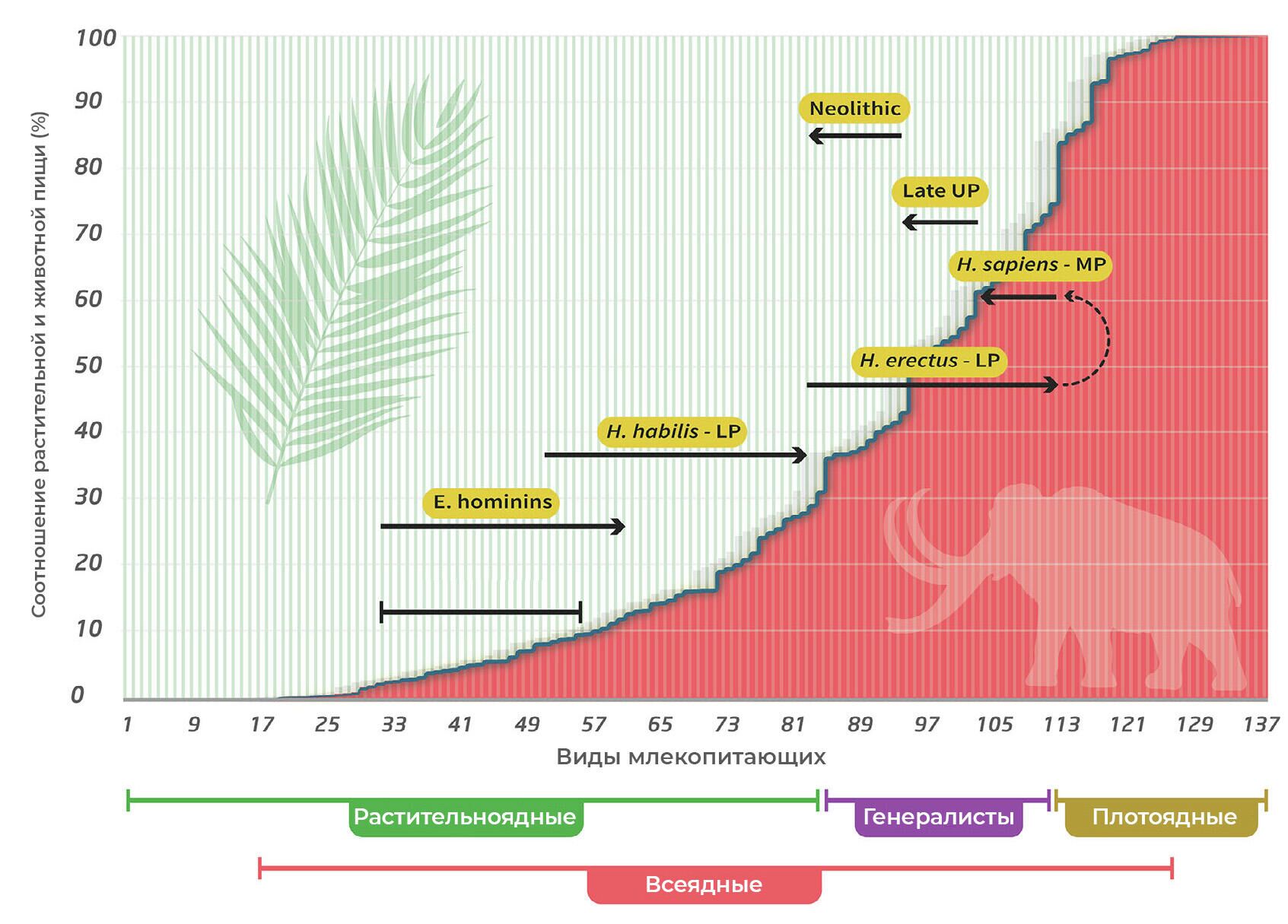 Схема положения в трофической цепи Homo sapiens и его предков. Вертикальные линии на диаграмме отражают соотношение растительной (зеленым) и животной (красным) пищи в структуре питания каждого из 137 основным видов млекопитающих. Отдельно выделен отряд приматов. E. hominins - ранние гоминины: австралопитеки и парантропы; LP - нижний палеолит; MP - средний палеолит; Late UP - поздний верхний палеолит; Neolithic - неолит - РИА Новости, 1920, 31.05.2021