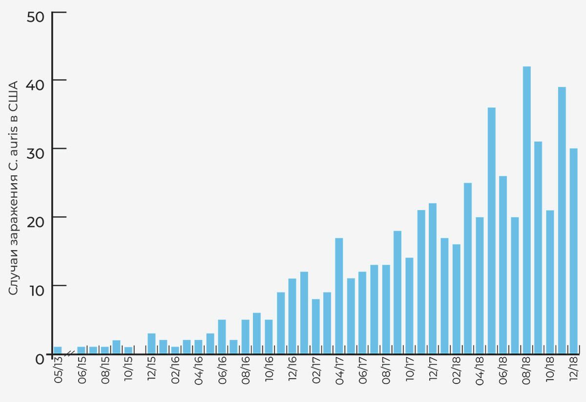 Распространение клинических случаев Candida auris в США - РИА Новости, 1920, 28.05.2021