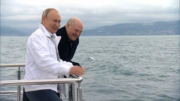 Путин и Лукашенко наблюдали за дельфинами на морской прогулке после переговоров