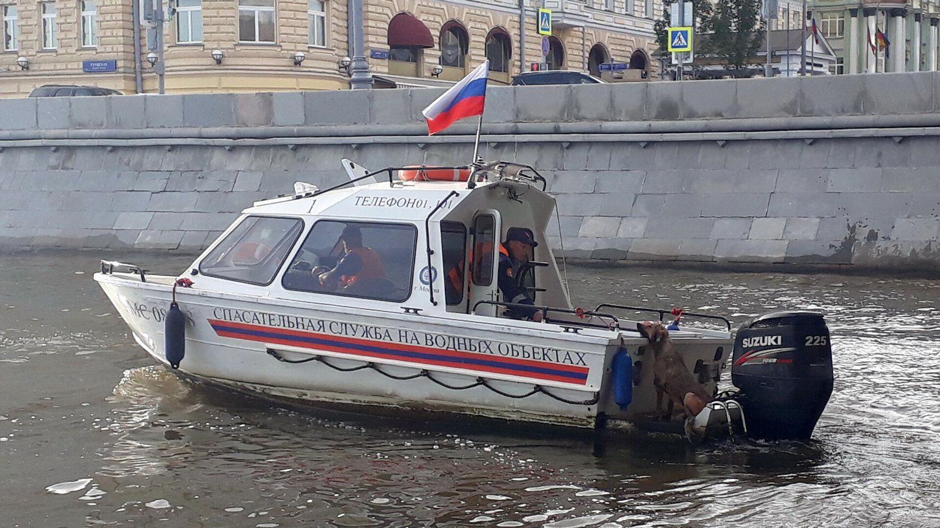 Возле Крымской набережной в Москве спасатели вытащили из воды тонущую собаку - РИА Новости, 1920, 29.05.2021