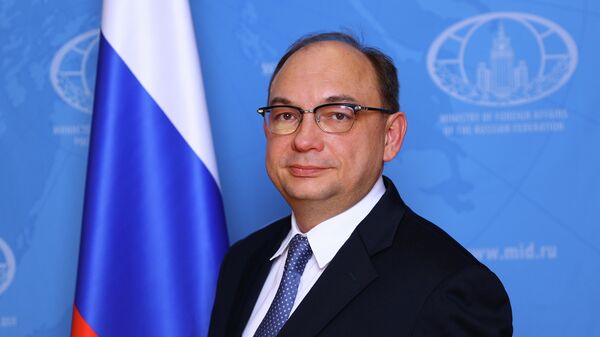 Директор департамента экономического сотрудничества МИД России Дмитрий Биричевский