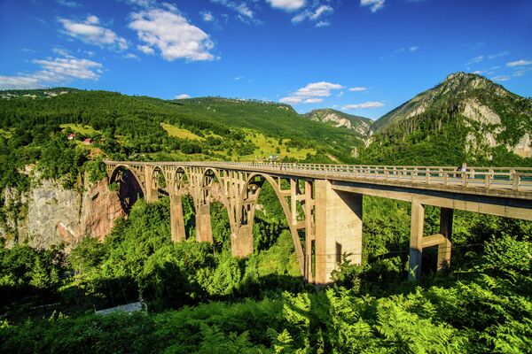 Мост Джурджевича и каньон реки Тара 