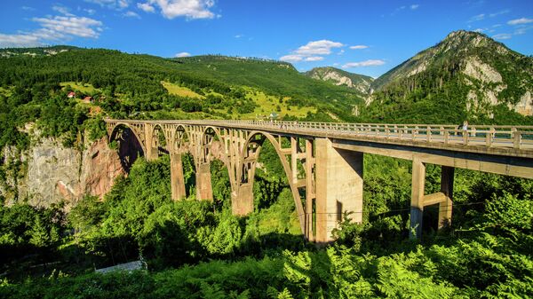 Мост Джурджевича и каньон реки Тара 